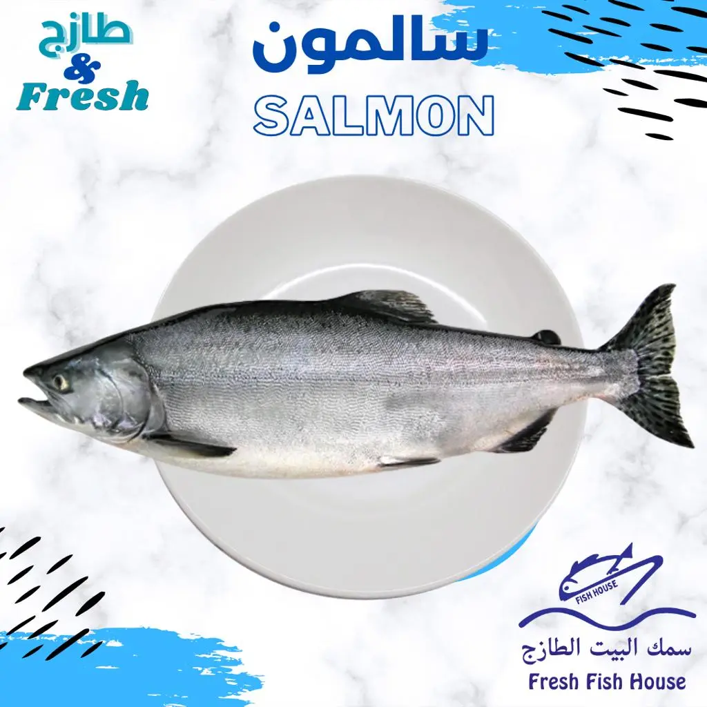 وجبة سمك سلمون